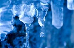 Januar: Event-Ausblick